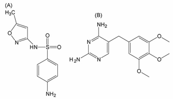 Figura 1: a) Molécula de sulfametoxazol. b) Molécula de trimetropim  (2)